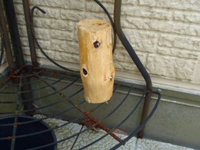 Image12.jpg