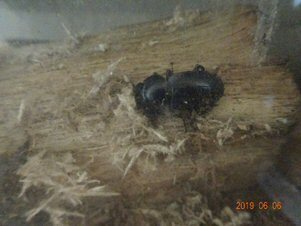 Image13.jpg