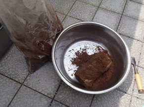 Image13.jpg