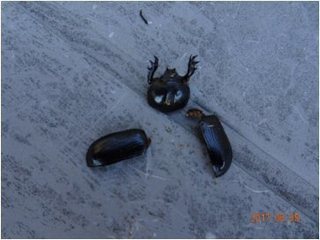 Image14.jpg