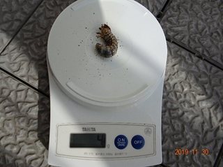 Image3.jpg