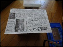 Image3.jpg