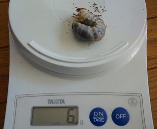 Image3.jpg