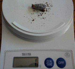 Image4.jpg