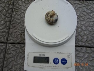 Image5.jpg