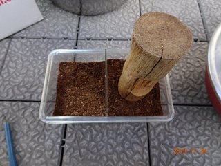 Image5.jpg