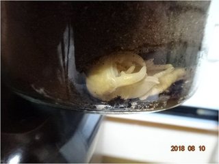 Image6.jpg
