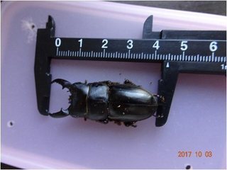 Image6.jpg
