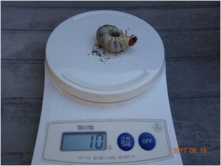 Image7.jpg