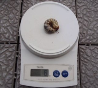 Image8.jpg