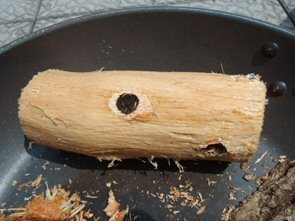 Image9.jpg