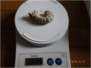 Image9.jpg