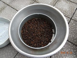 Image9.jpg
