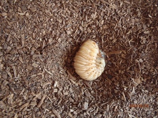 image1.jpeg