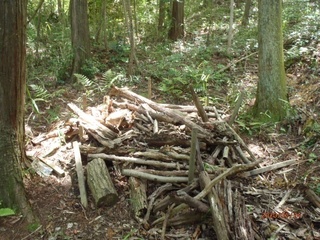 image1.jpeg