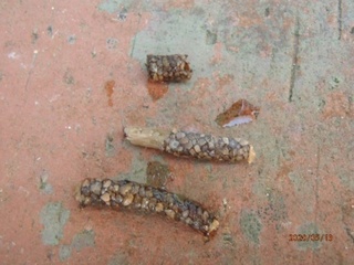 image1.jpeg