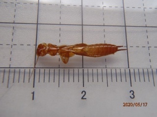 image10.jpeg