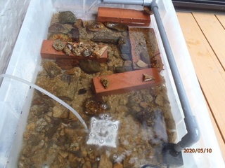 image14.jpeg