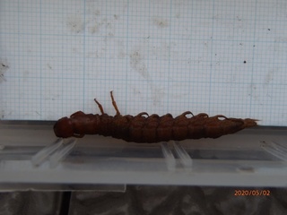 image15.jpeg