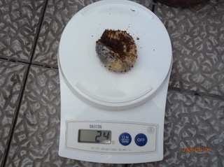 image2.jpeg