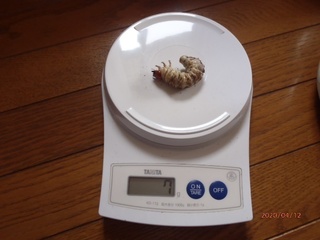 image2.jpeg