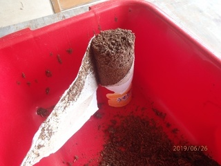 image24.jpeg