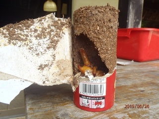 image25.jpeg