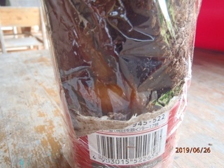 image26.jpeg