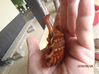 image27.jpeg