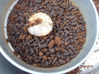 image3.jpeg