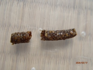 image4.jpeg