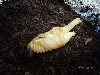 image4.jpeg