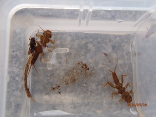 image4.jpeg