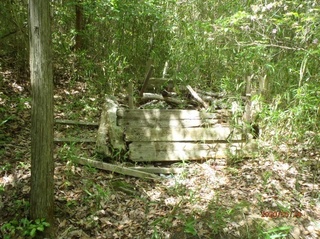 image5.jpeg