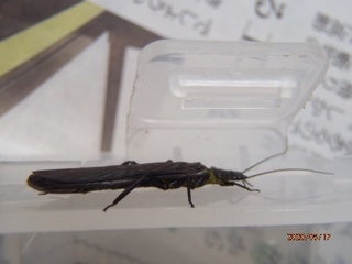 image5.jpeg