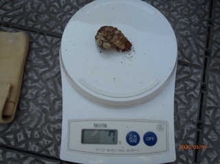 image5.jpeg