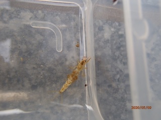 image5.jpeg