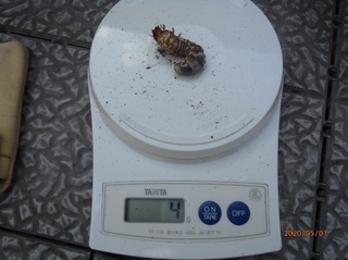 image6.jpeg