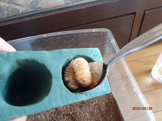 image7.jpeg