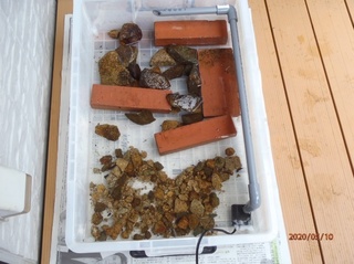 image7.jpeg