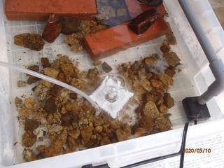 image8.jpeg