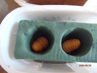 image8.jpeg