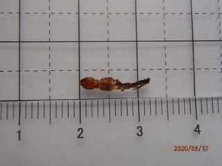 image8.jpeg